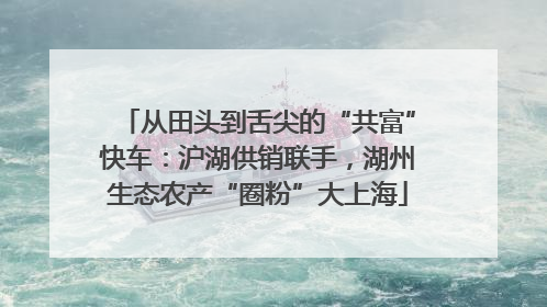 从田头到舌尖的“共富”快车：沪湖供销联手，湖州生态农产“圈粉”大上海