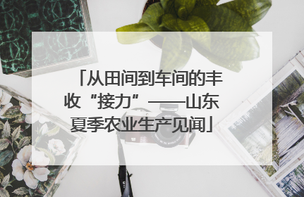 从田间到车间的丰收“接力”——山东夏季农业生产见闻