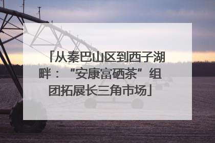 从秦巴山区到西子湖畔：“安康富硒茶”组团拓展长三角市场