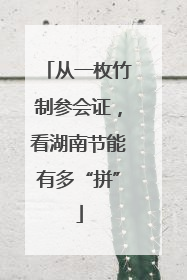 从一枚竹制参会证，看湖南节能有多“拼”