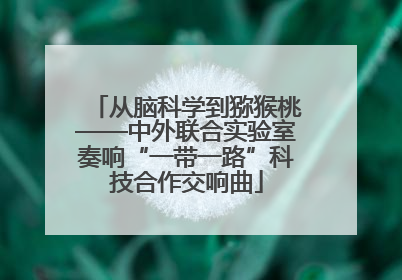 从脑科学到猕猴桃——中外联合实验室奏响“一带一路”科技合作交响曲