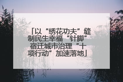 以“绣花功夫”缝制民生幸福“针脚” 宿迁城市治理“十项行动”加速落地