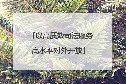 以高质效司法服务高水平对外开放
