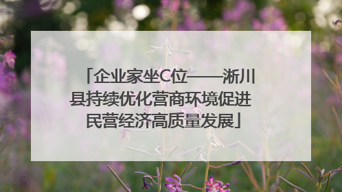 企业家坐C位——淅川县持续优化营商环境促进 民营经济高质量发展