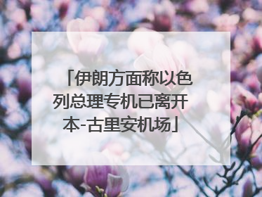 伊朗方面称以色列总理专机已离开本-古里安机场
