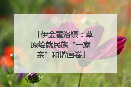 伊金霍洛镇：草原绘就民族“一家亲”和谐画卷