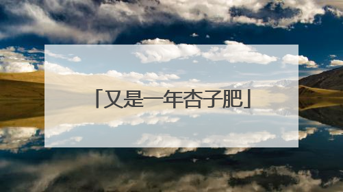 又是一年杏子肥