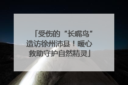 受伤的“长嘴鸟”造访徐州沛县！暖心救助守护自然精灵