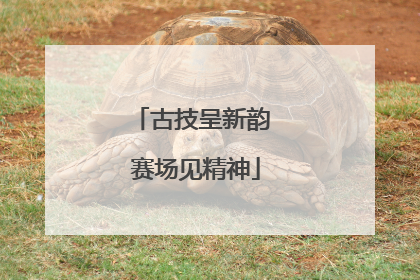 古技呈新韵 赛场见精神