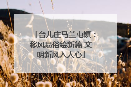 台儿庄马兰屯镇：移风易俗绘新篇 文明新风入人心
