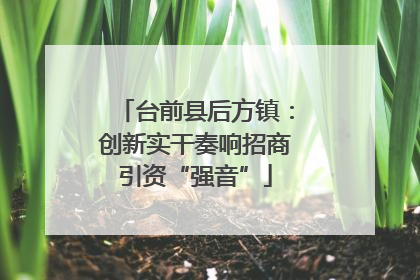 台前县后方镇：创新实干奏响招商引资“强音”
