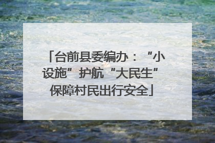 台前县委编办：“小设施”护航“大民生” 保障村民出行安全