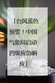 台风蓝色预警！中国气象局启动四级应急响应