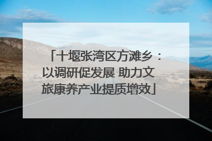 十堰张湾区方滩乡：以调研促发展 助力文旅康养产业提质增效