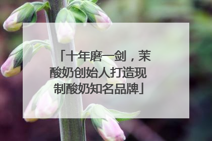 十年磨一剑，茉酸奶创始人打造现制酸奶知名品牌