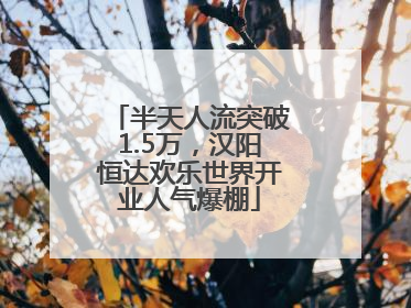 半天人流突破1.5万，汉阳恒达欢乐世界开业人气爆棚