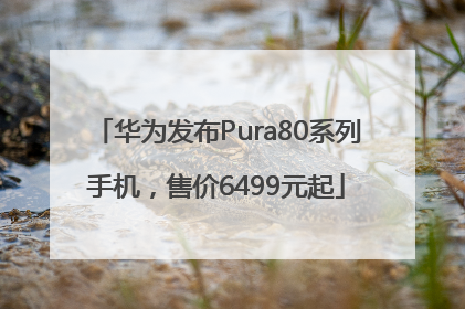 华为发布Pura80系列手机，售价6499元起