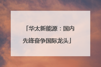 华太新能源：国内先锋奋争国际龙头