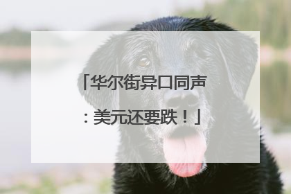 华尔街异口同声：美元还要跌！