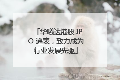 华曦达港股 IPO 递表，致力成为行业发展先驱