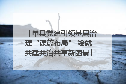 单县党建引领基层治理“谋篇布局” 绘就共建共治共享新图景