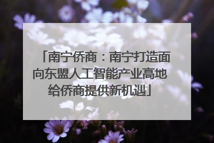 南宁侨商：南宁打造面向东盟人工智能产业高地给侨商提供新机遇