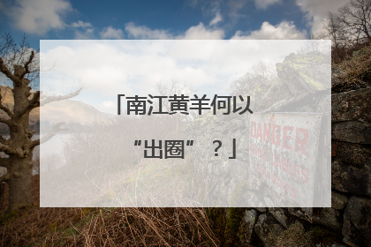 南江黄羊何以“出圈”？