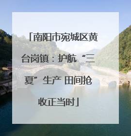 南阳市宛城区黄台岗镇：护航“三夏”生产 田间抢收正当时