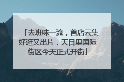 去班味一流，首店云集好逛又出片，天目里国际街区今天正式开街