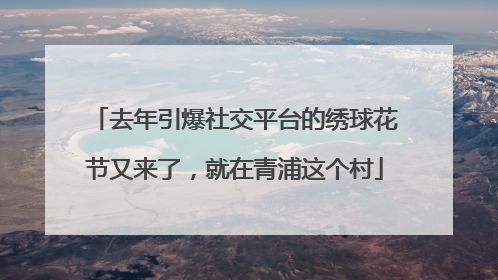 去年引爆社交平台的绣球花节又来了，就在青浦这个村
