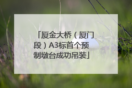 厦金大桥（厦门段）A3标首个预制墩台成功吊装