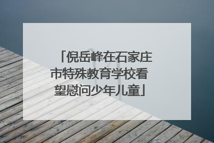 倪岳峰在石家庄市特殊教育学校看望慰问少年儿童