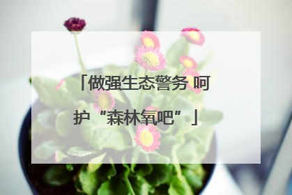 做强生态警务 呵护“森林氧吧”