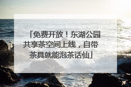 免费开放！东湖公园共享茶空间上线，自带茶具就能泡茶话仙