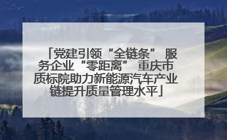党建引领“全链条” 服务企业“零距离” 重庆市质标院助力新能源汽车产业链提升质量管理水平