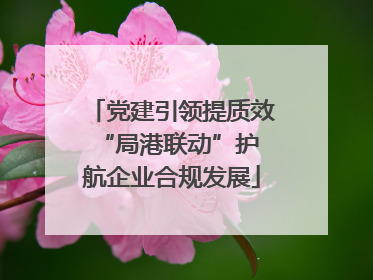 党建引领提质效 “局港联动”护航企业合规发展