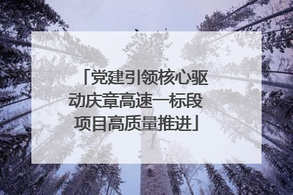 党建引领核心驱动庆章高速一标段项目高质量推进