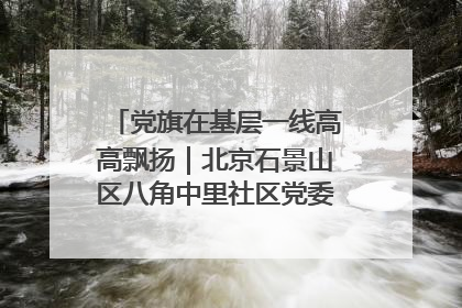 党旗在基层一线高高飘扬｜北京石景山区八角中里社区党委：用脚步丈量民生