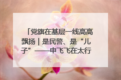 党旗在基层一线高高飘扬｜是民警、是“儿子”——申飞飞在太行山中的一线坚守