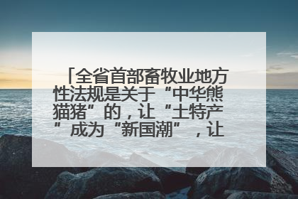 全省首部畜牧业地方性法规是关于“中华熊猫猪”的，让“土特产”成为“新国潮”，让“农产品”升格为“城市IP”