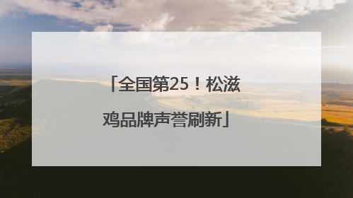 全国第25！松滋鸡品牌声誉刷新