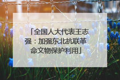 全国人大代表王志强：加强东北抗联革命文物保护利用