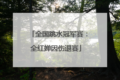 全国跳水冠军赛：全红婵因伤退赛