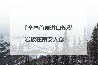 全国首票进口保税岩板在南安入仓