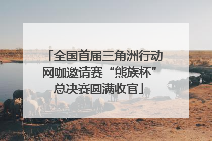 全国首届三角洲行动网咖邀请赛“熊族杯”总决赛圆满收官