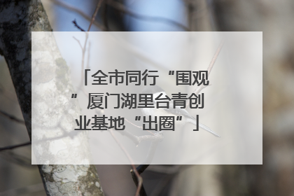 全市同行“围观”厦门湖里台青创业基地“出圈”