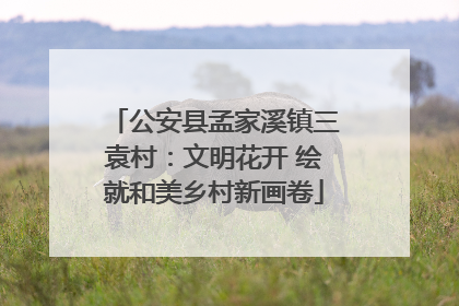 公安县孟家溪镇三袁村：文明花开 绘就和美乡村新画卷
