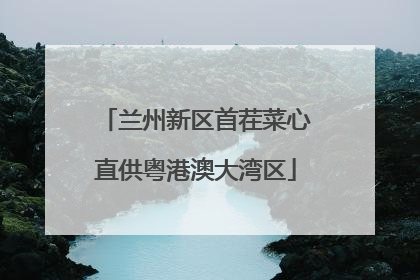 兰州新区首茬菜心直供粤港澳大湾区
