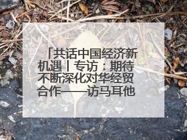 共话中国经济新机遇丨专访：期待不断深化对华经贸合作——访马耳他贸易局首席执行官布蒂吉格