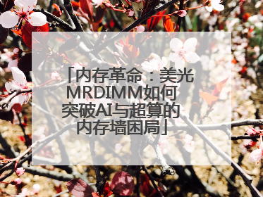 内存革命：美光MRDIMM如何突破AI与超算的内存墙困局